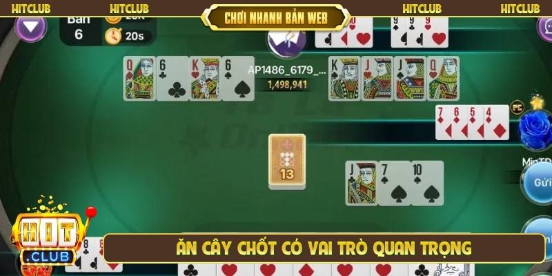 Ăn cây chốt có vai trò quan trọng